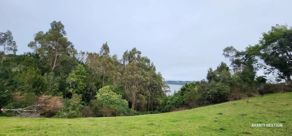 Hermoso campo a metros de la playa  (72113)