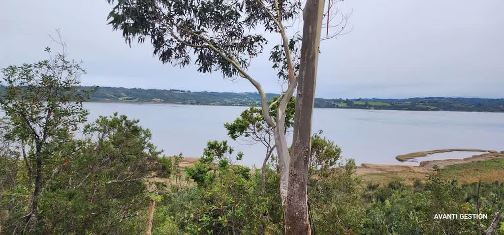 Hermoso campo a metros de la playa  (72113)