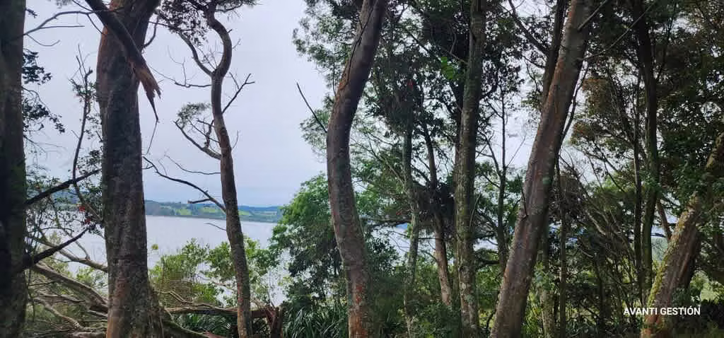 Hermoso campo a metros de la playa  (72113)