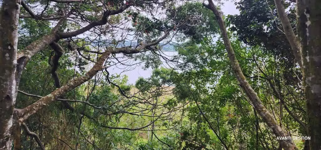 Hermoso campo a metros de la playa  (72113)