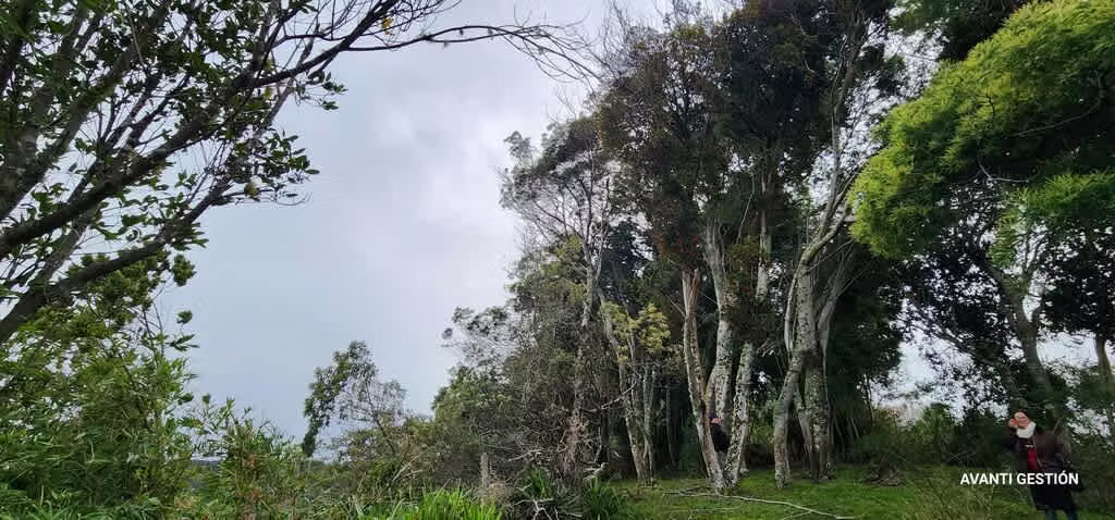 Hermoso campo a metros de la playa  (72113)