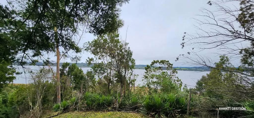 Hermoso campo a metros de la playa  (72113)