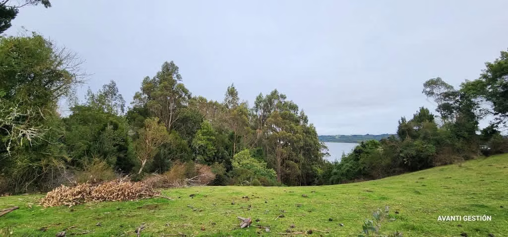 Hermoso campo a metros de la playa  (72113)