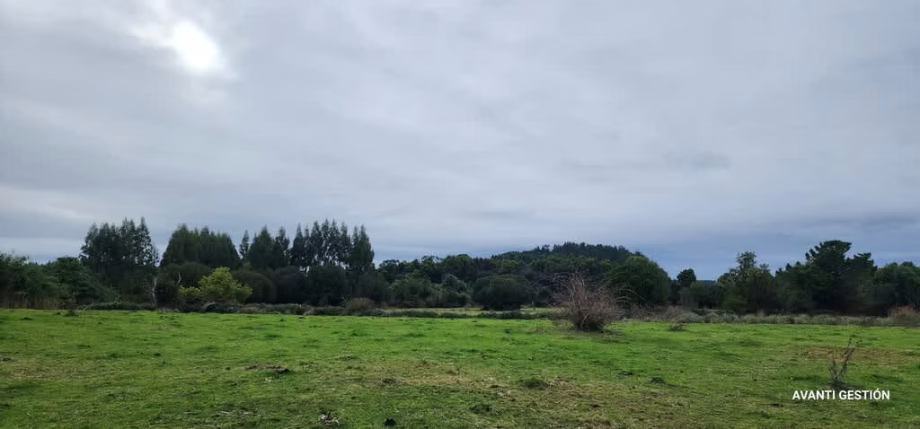 Hermoso campo a metros de la playa  (72113)