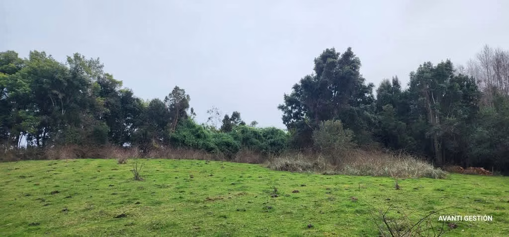 Hermoso campo a metros de la playa  (72113)