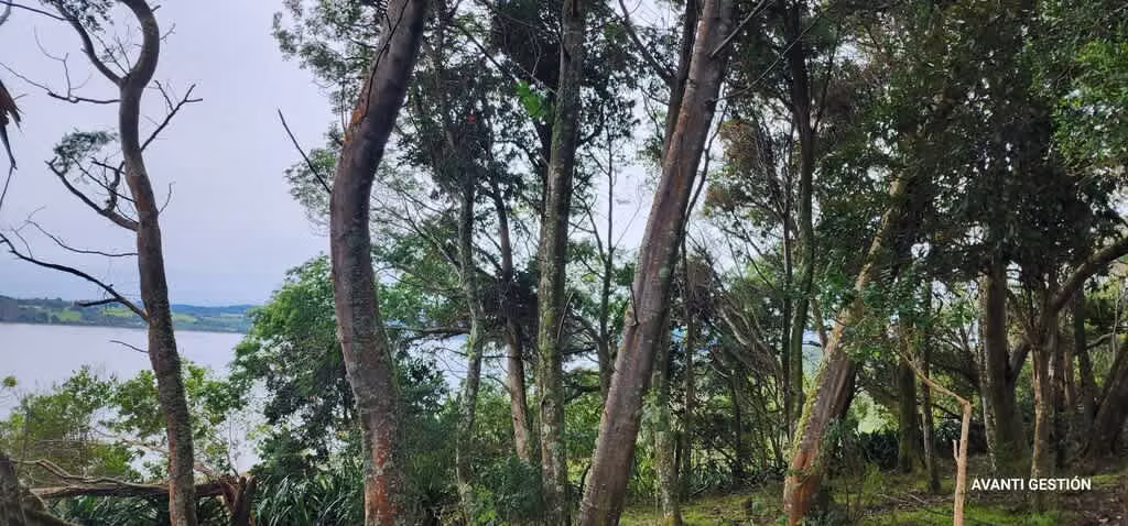 Hermoso campo a metros de la playa  (72113)