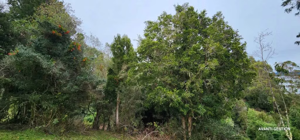 Hermoso campo a metros de la playa  (72113)