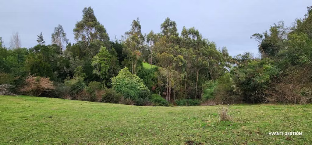 Hermoso campo a metros de la playa  (72113)