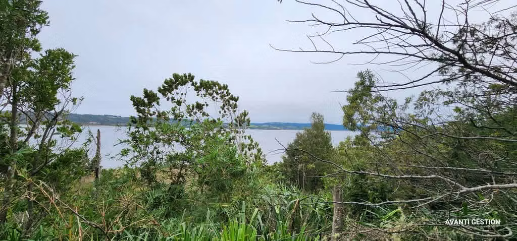 Hermoso campo a metros de la playa  (72113)
