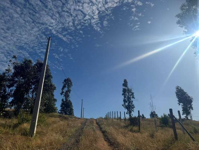 Parcela en Yumbel paso de hondo  (72497)