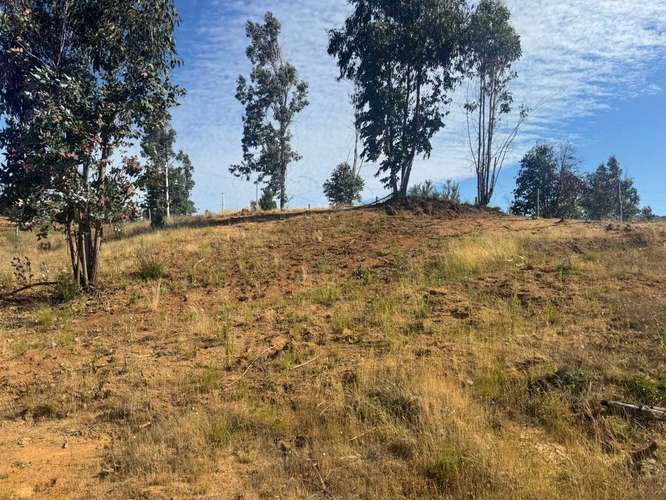 Parcela en Yumbel paso de hondo  (72497)