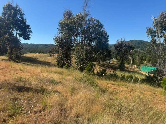Parcela en Yumbel paso de hondo  (72497)