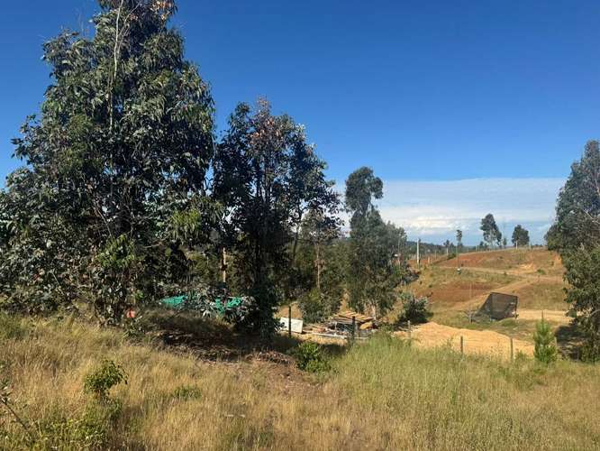 Parcela en Yumbel paso de hondo  (72497)