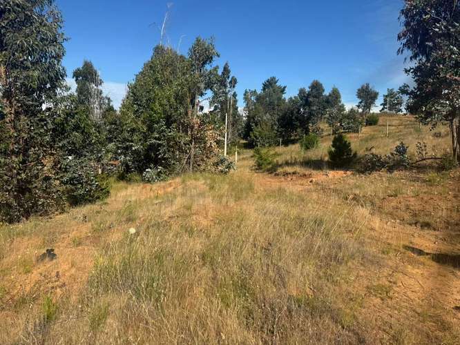 Parcela en Yumbel paso de hondo  (72497)