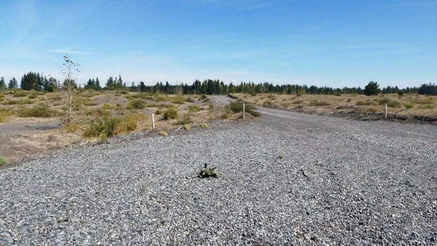 Ultimas parcelas en yungay fundo newenko  (72504)