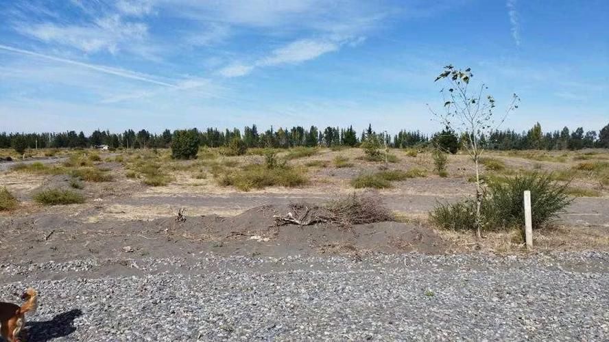 Ultimas parcelas en yungay fundo newenko  (72504)