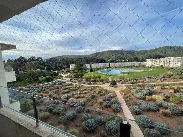 Lomas de Papudo/ Punta Puyai (72673)
