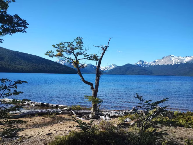 LAGO BRAVO (70358)