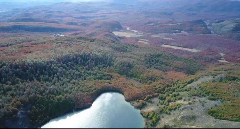 FUNDO LAGO BRAVO (70358) - Imagen 14
