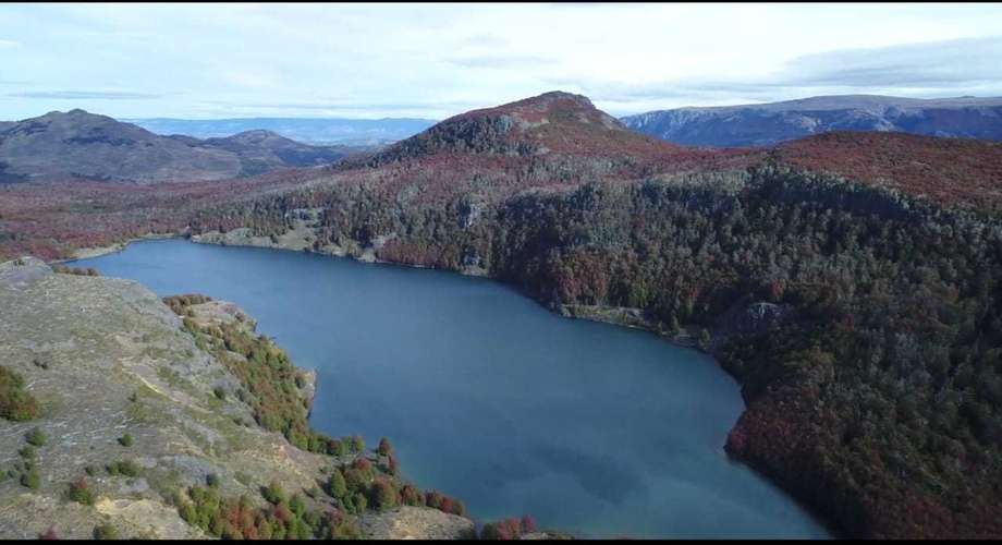 FUNDO LAGO BRAVO (70358) - Imagen 4