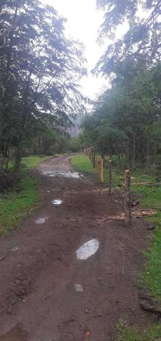 FUNDO LAGO BRAVO (70358) - Imagen 10