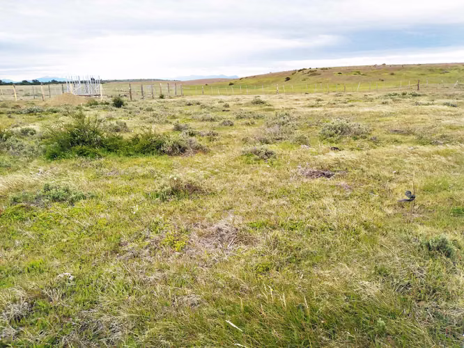 SITIO RURAL EN DOROTEA NATALES