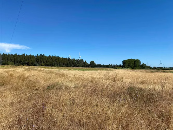 Se Vende Espectacular Campo. Mulchen (73488)
