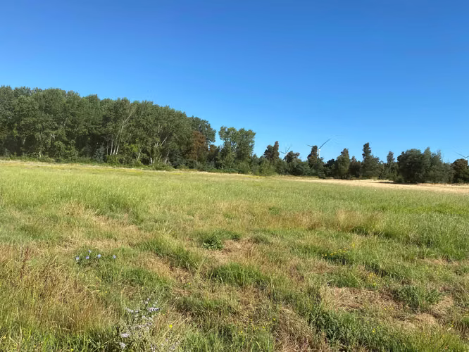Se Vende Espectacular Campo. Mulchen (73488)