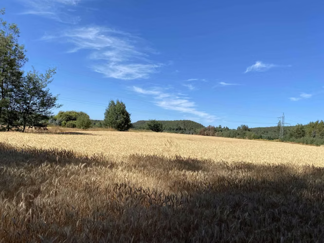 Se Vende Espectacular Campo. Mulchen (73488)