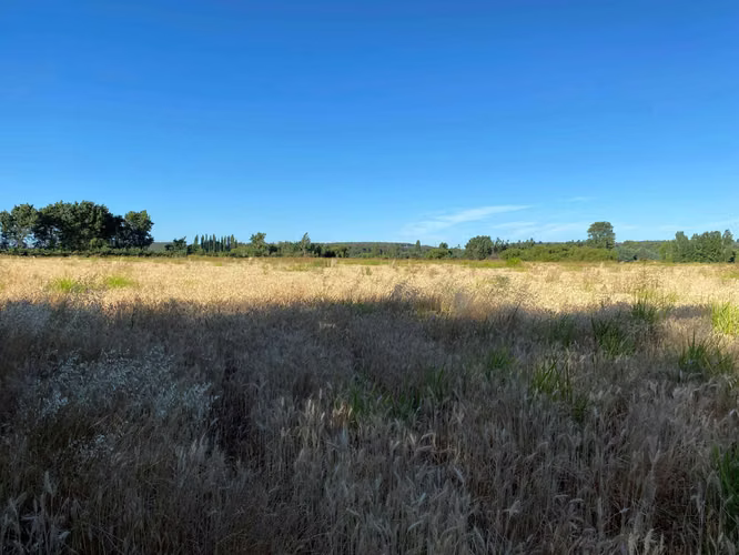 Se Vende Espectacular Campo. Mulchen (73488)