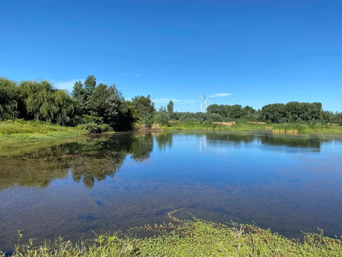 Se Vende Espectacular Campo. Mulchen (73488)