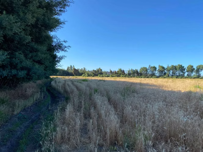 Se Vende Espectacular Campo. Mulchen (73488)