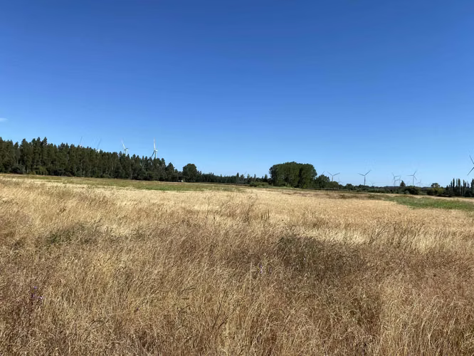 Se Vende Espectacular Campo. Mulchen (73488)