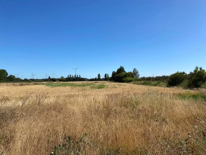 Se Vende Espectacular Campo. Mulchen (73488)