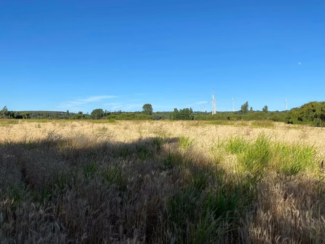 Se Vende Espectacular Campo. Mulchen (73488)