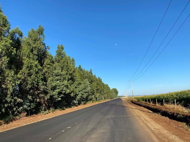 Se Vende Espectacular Campo. Mulchen (73488)
