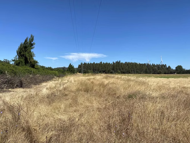 Se Vende Espectacular Campo. Mulchen (73488)