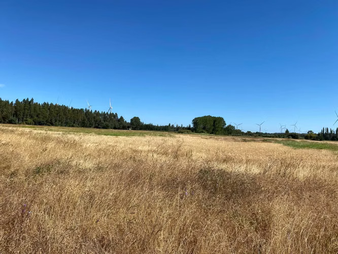 Se Vende Espectacular Campo. Mulchen (73488)