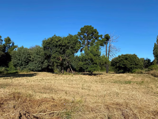 Se Vende Espectacular Campo. Mulchen (73488)
