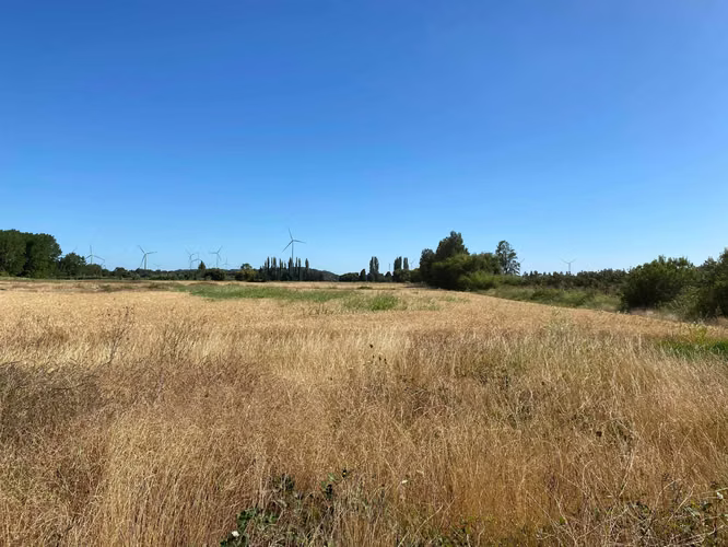 Se Vende Espectacular Campo. Mulchen (73488)