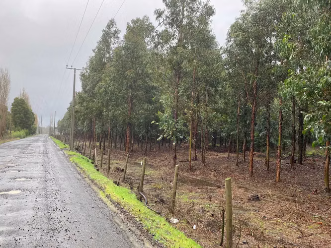 Hermoso Terreno Lado Ruta 5 Sur. Cruce Cabrer (73456)