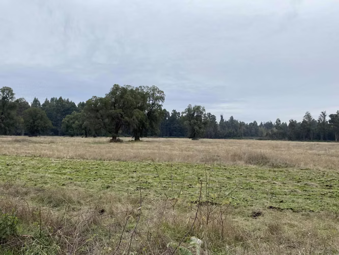 Se Venden 2 Hermosos Sitios en Sector Industr (73451)