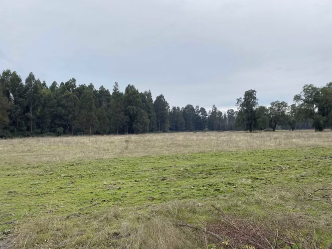 Se Venden 2 Hermosos Sitios en Sector Industr (73451)