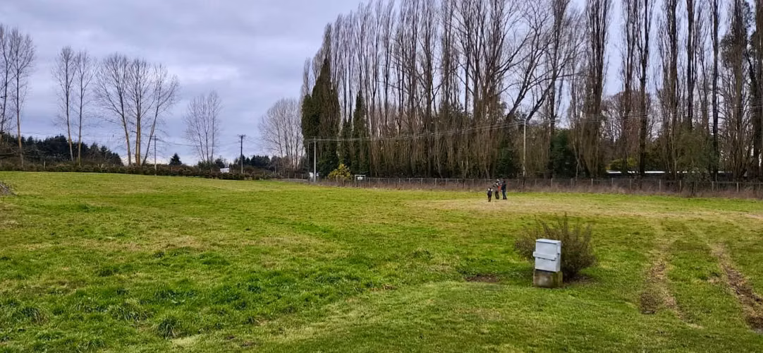 Parcela, ruta 215. Lomas del Bosque  (73404)