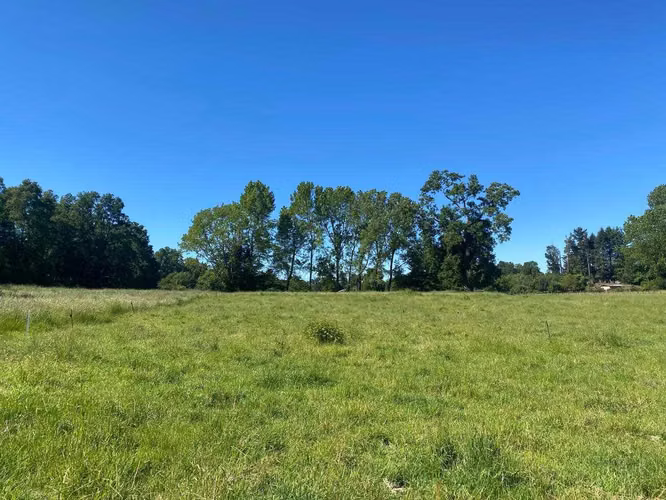 Se vende parcela de 3,5 hectáreas en Vilcún (73621)