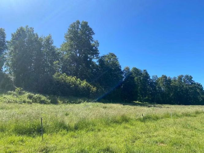 Se vende parcela de 3,5 hectáreas en Vilcún (73621)