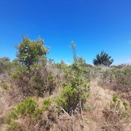 Parcela con agua, luz, Algarrobo, Casa Blanca (74772)