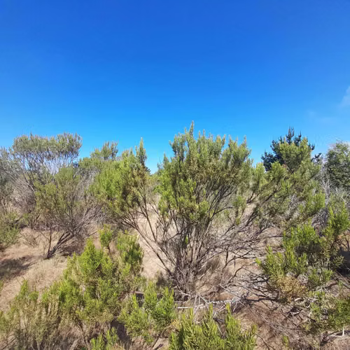 Parcela con agua, luz, Algarrobo, Casa Blanca (74772)
