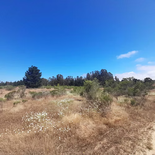 Parcela con agua, luz, Algarrobo, Casa Blanca (74772)