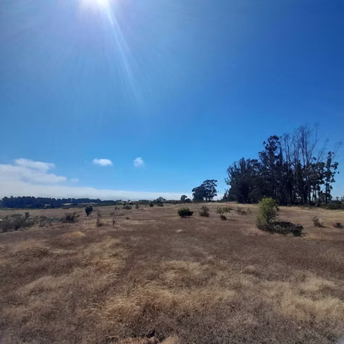 Parcela con agua, luz, Algarrobo, Casa Blanca (74772)